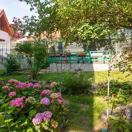 Barok Appart Брашов Экстерьер фото