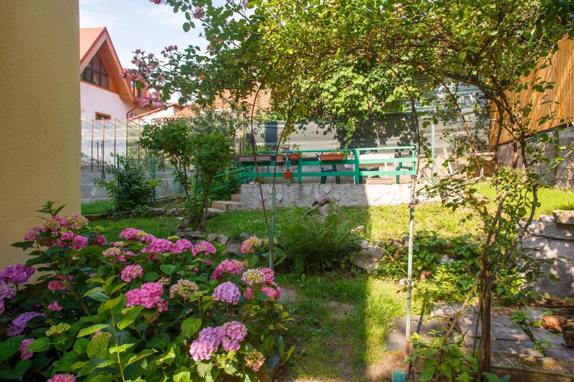 Barok Appart Брашов Экстерьер фото